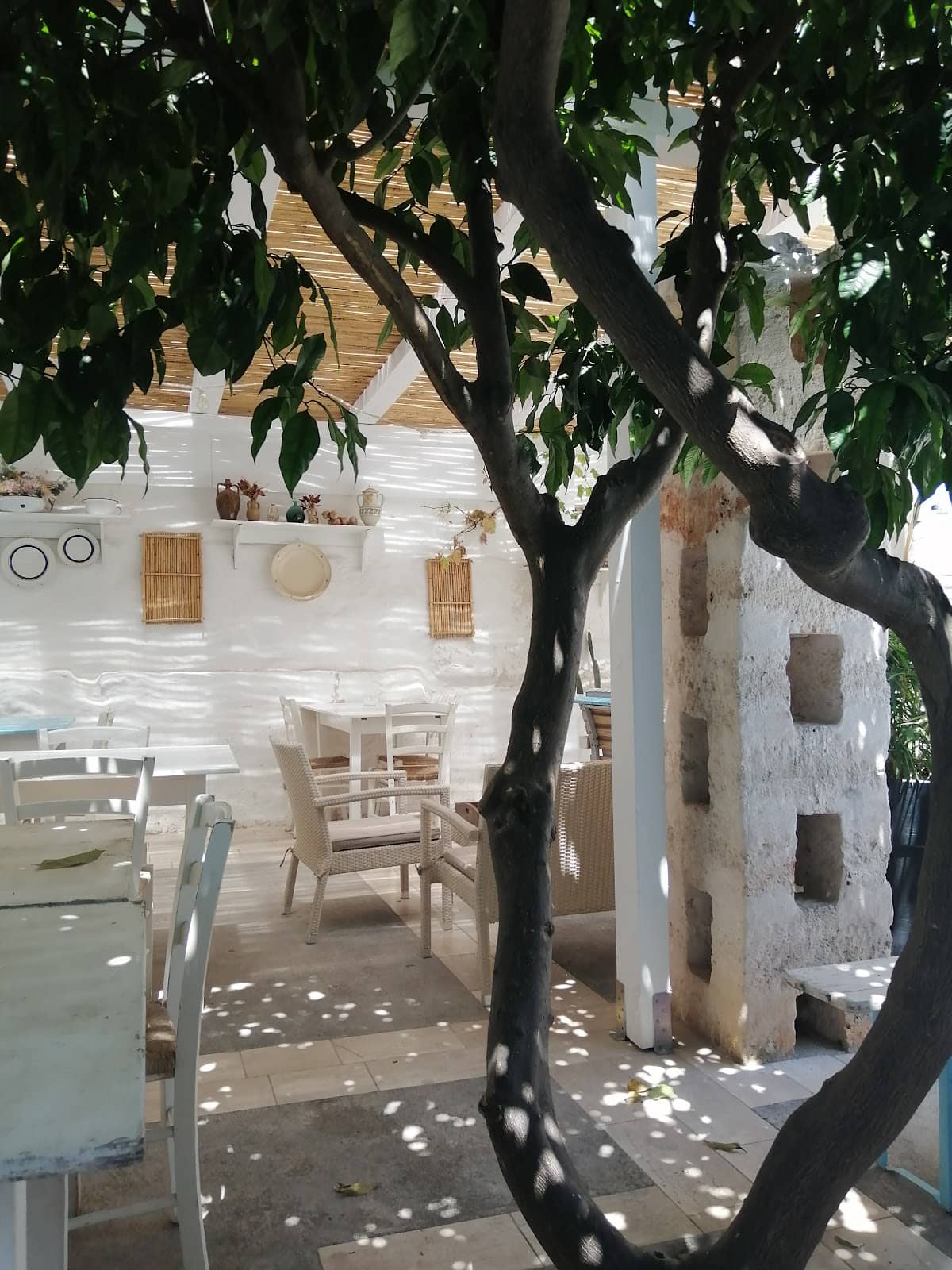 Samba vs. Spezial Debate