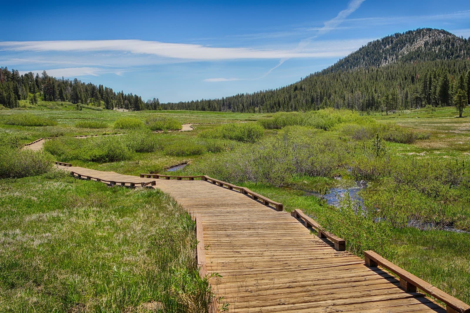 Tahoe Meadows - Image 1