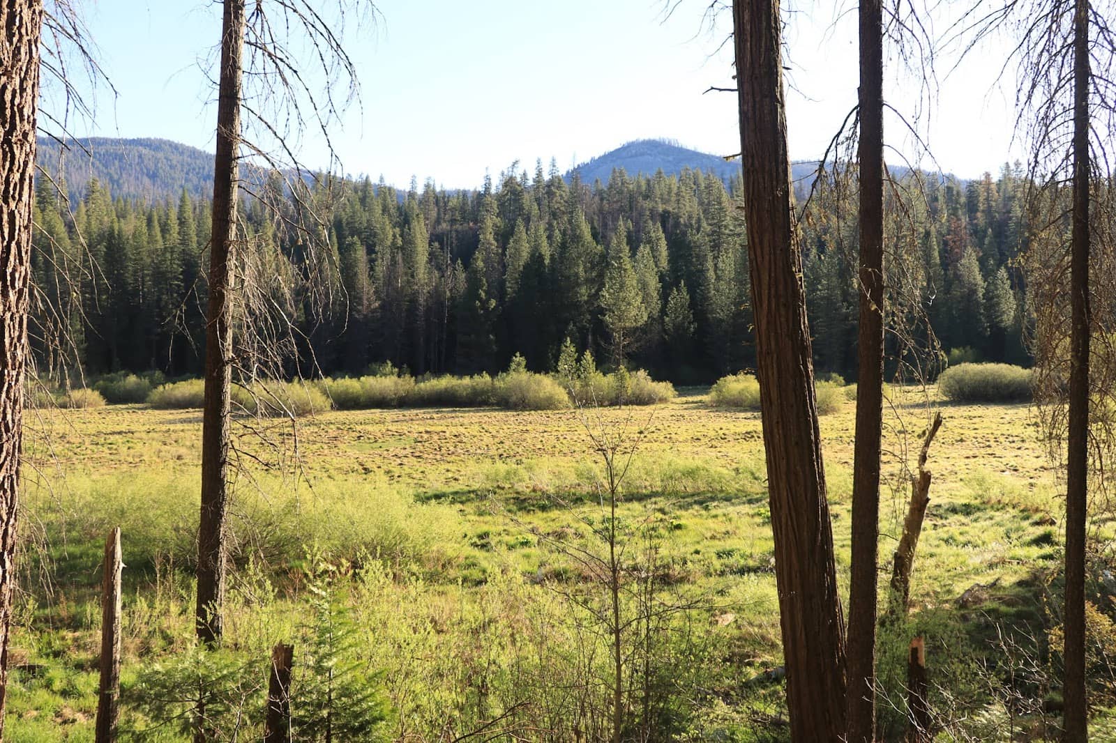 Shallow Creek Crossing