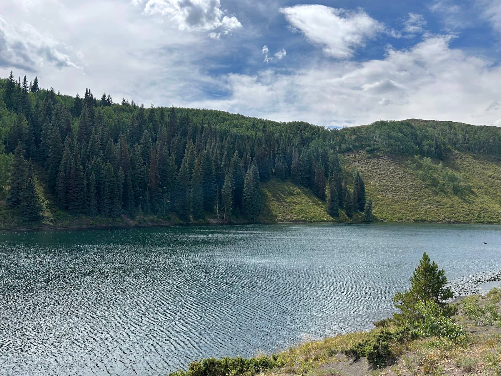 Brown Duck's Welcome