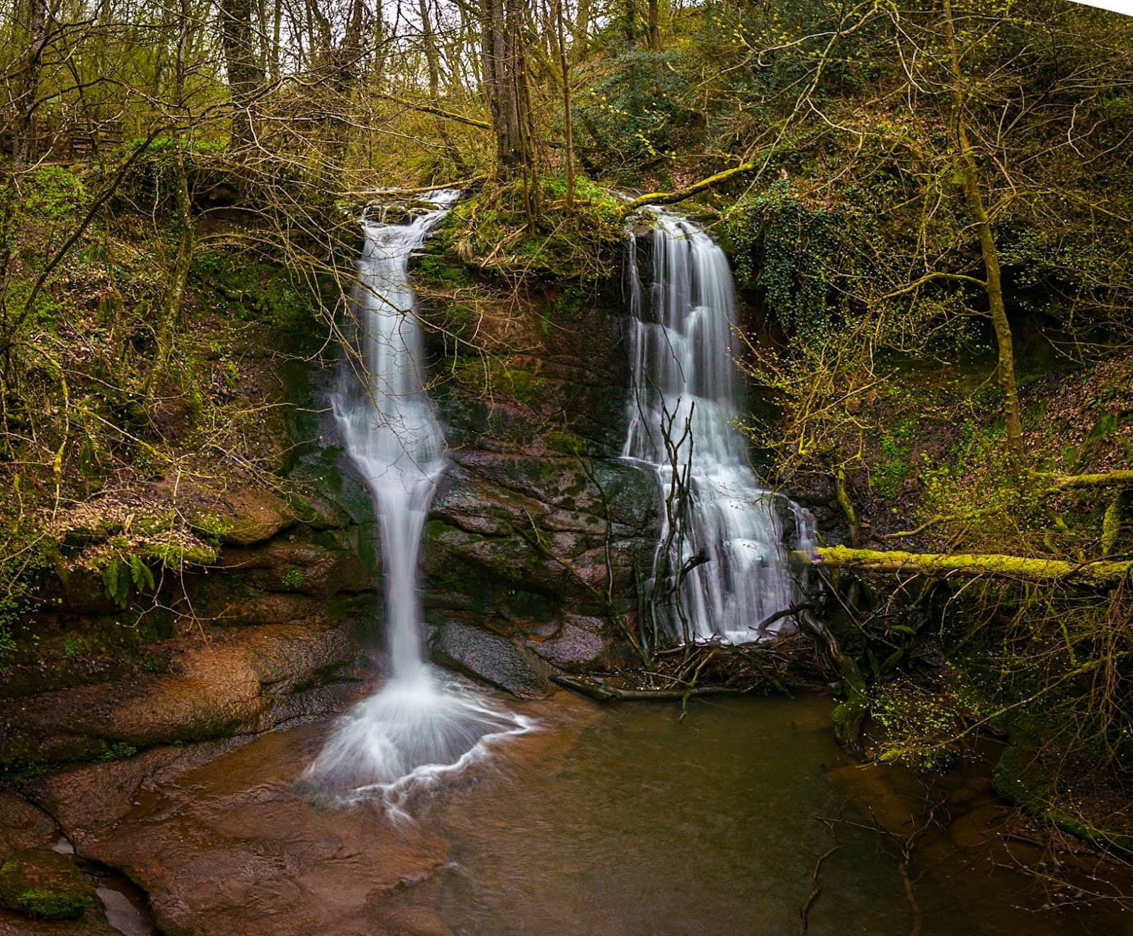 Pwll-y-Wrach Nature Reserve - Image 1