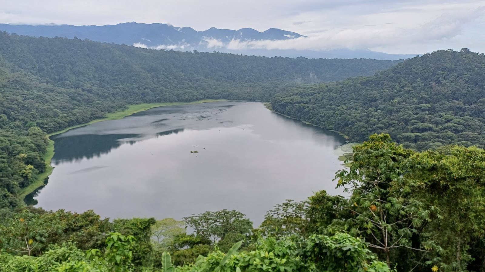 Laguna de Hule (Bosque Alegre) - Image 1