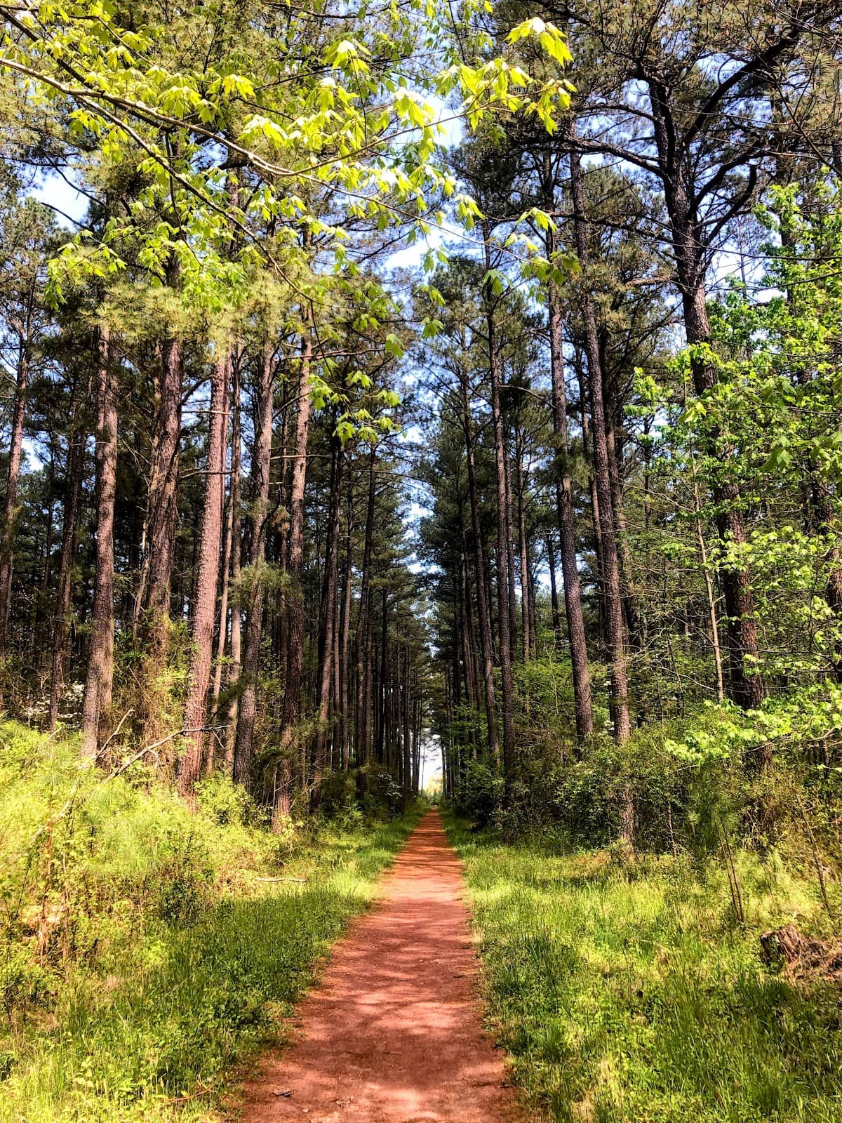 Mountain Biking Trails