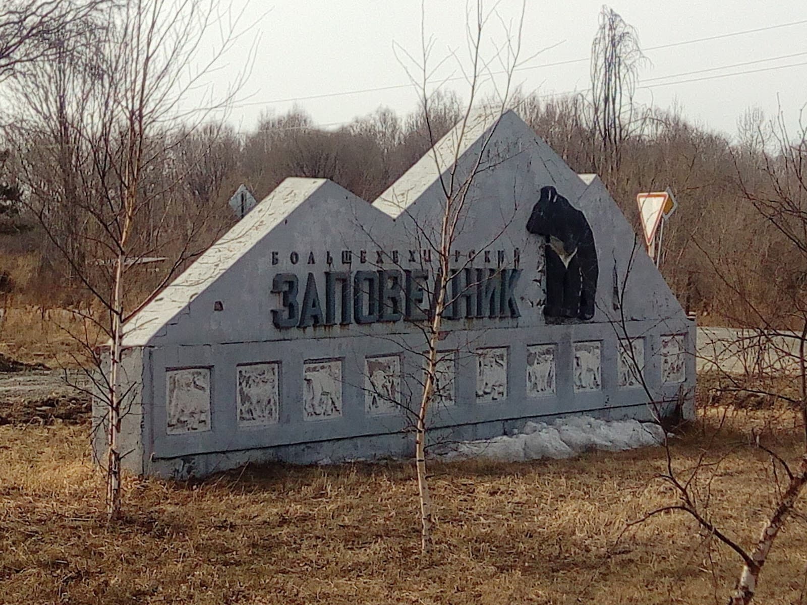 Bolshekhekhtsirsky Nature Reserve - Image 1