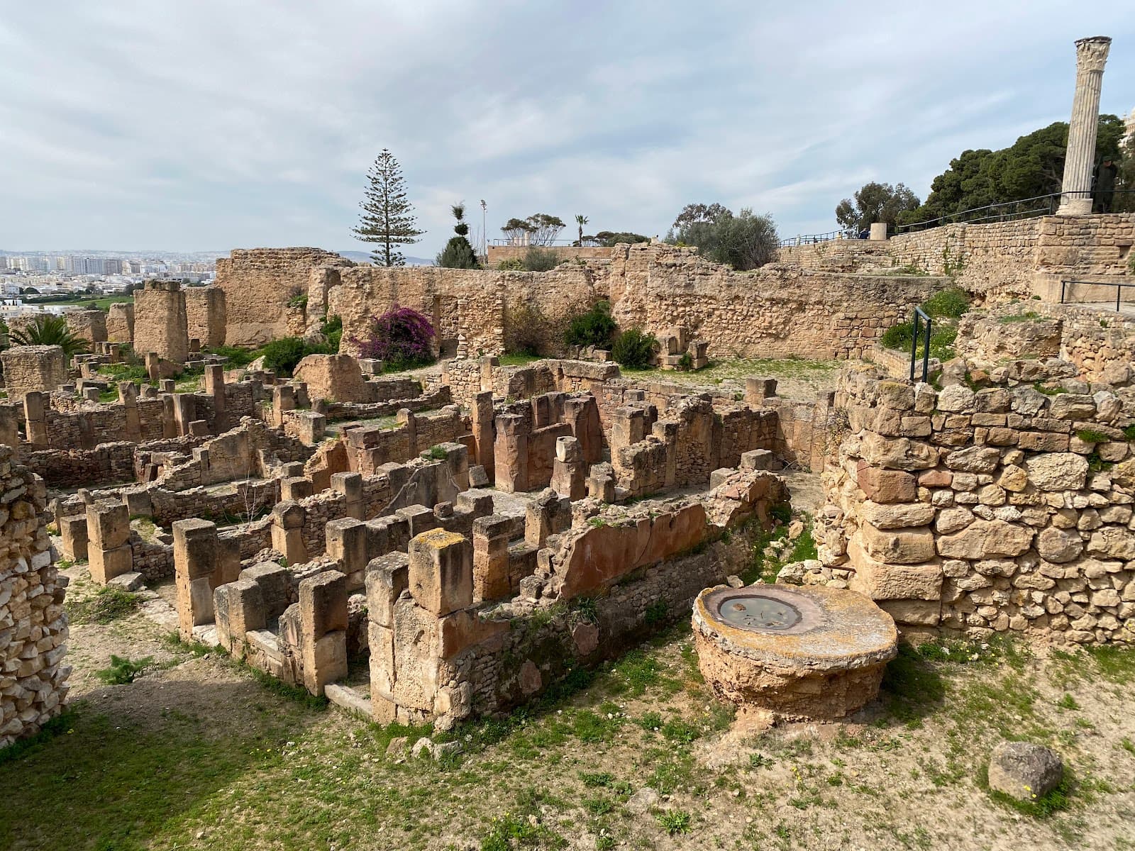 Carthage Archaeological Area - Image 1