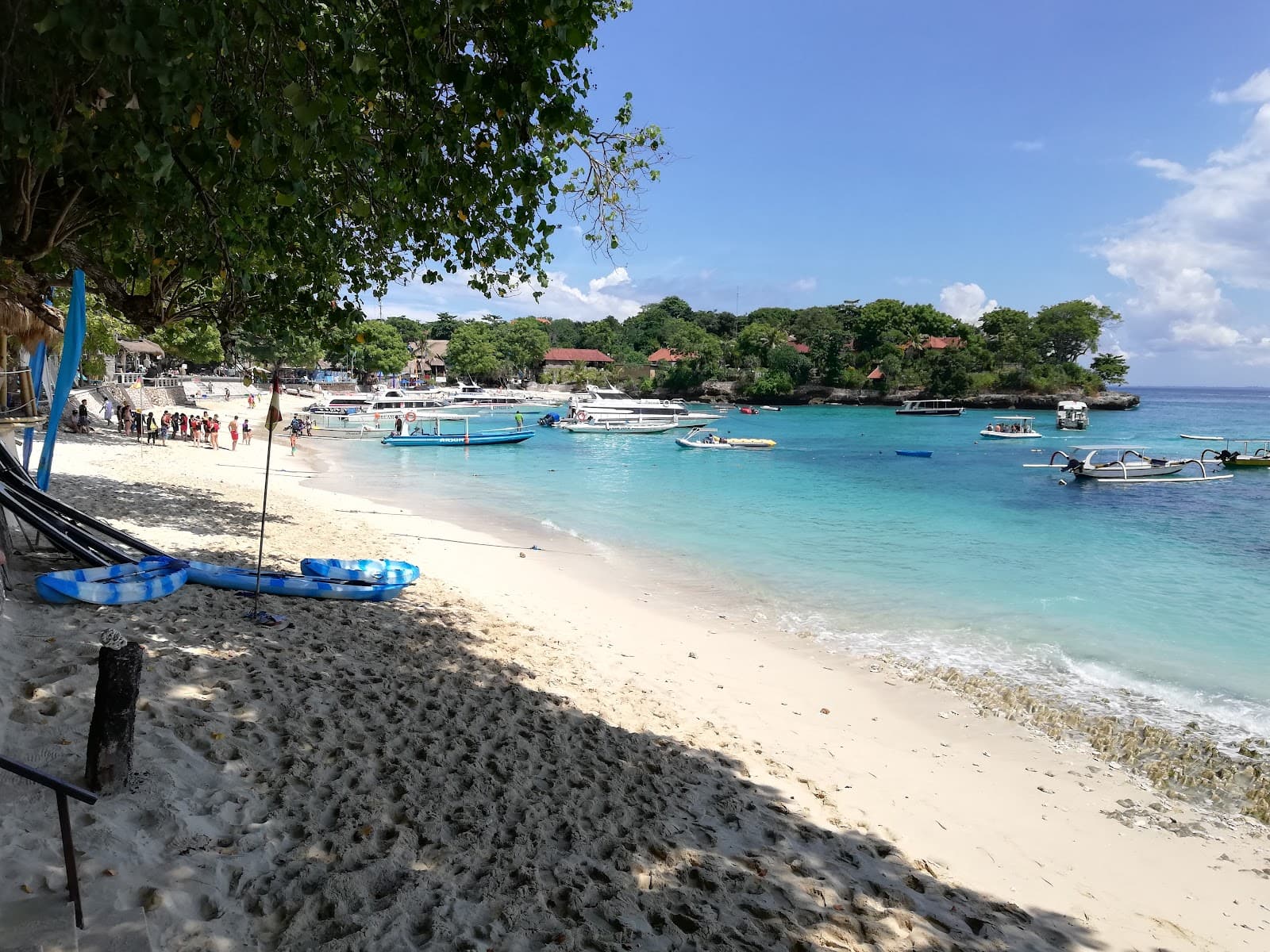 Mushroom Bay - Image 1