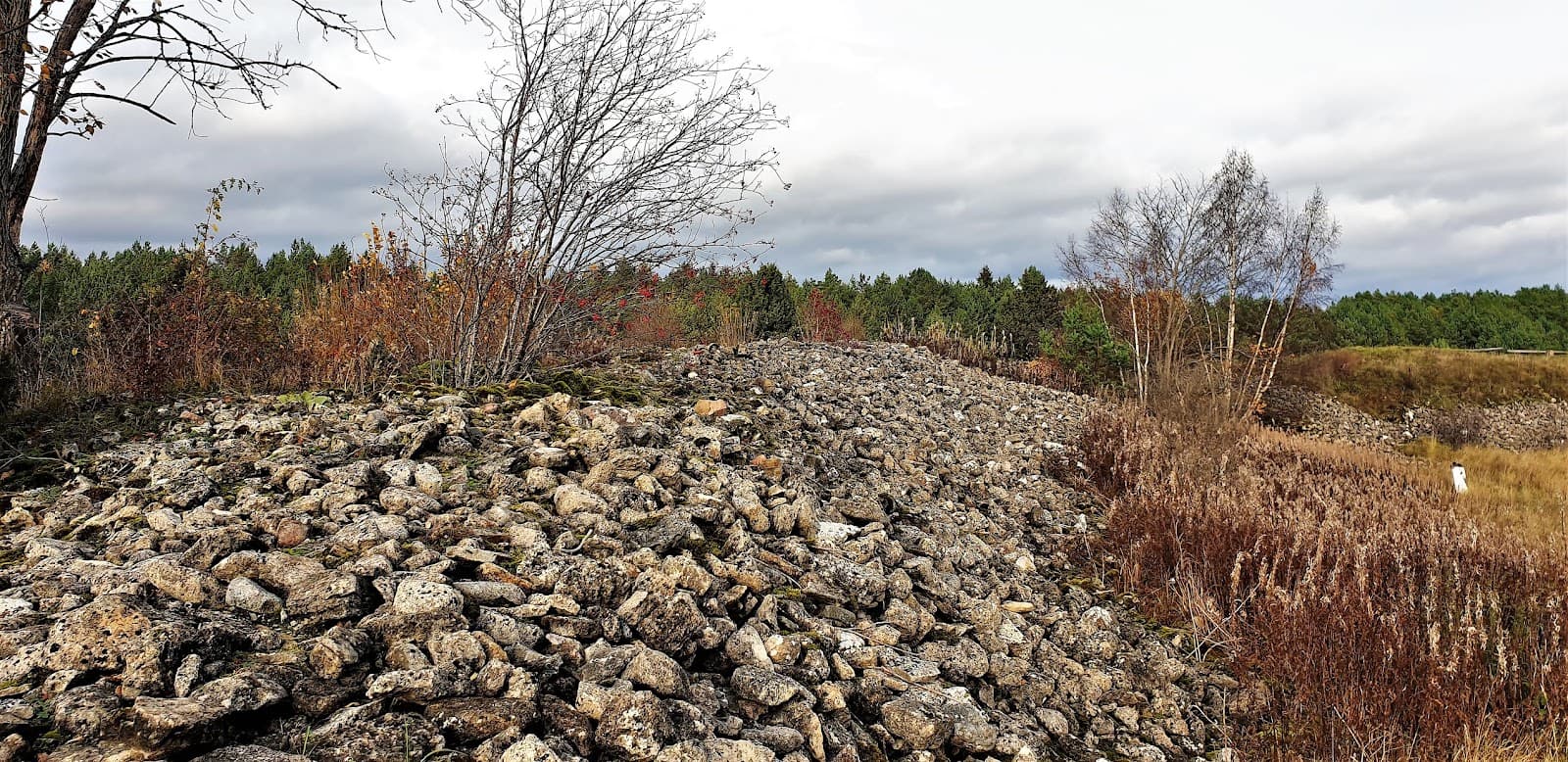 Valjala Hillfort - Image 1