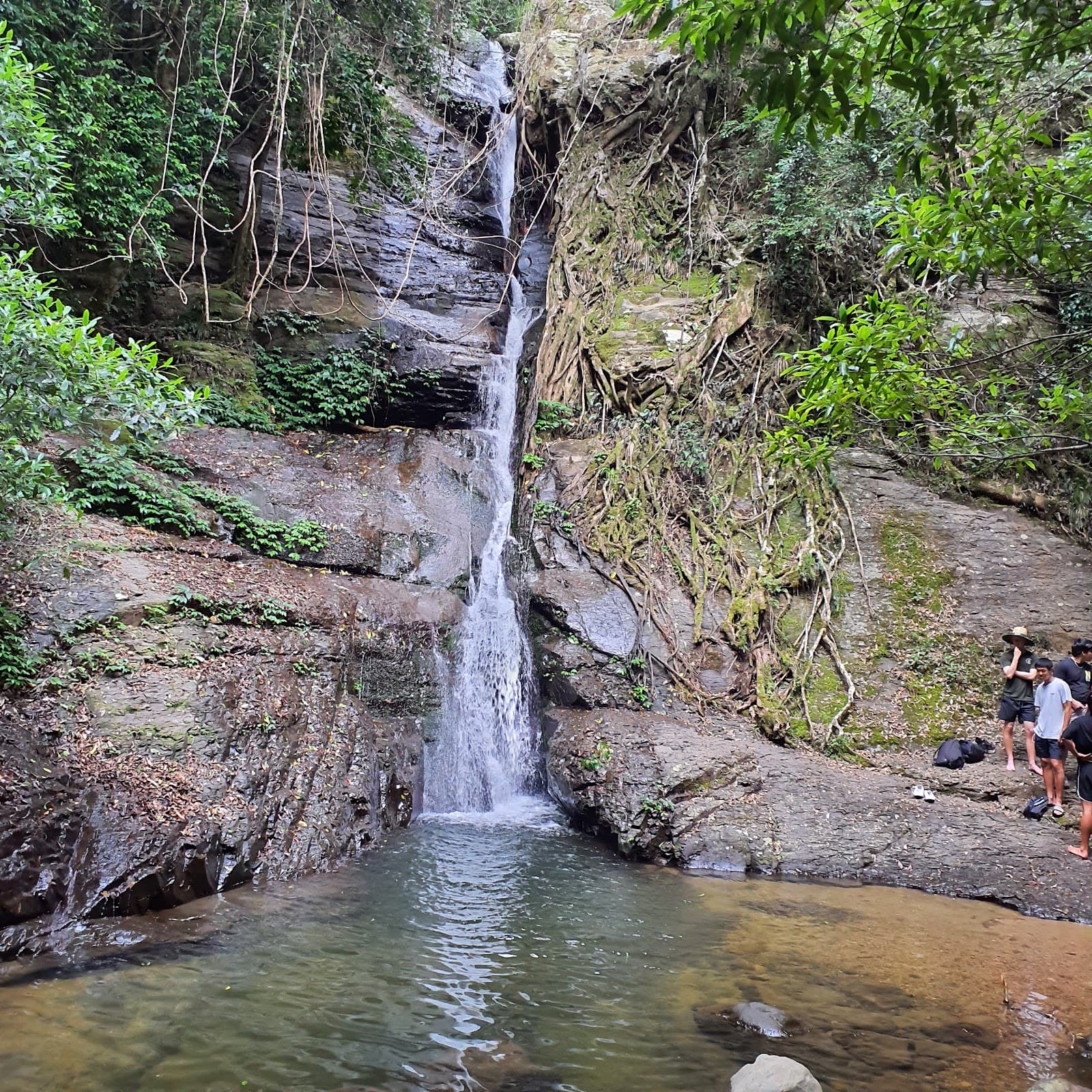 Cascade Falls (Macquarie Pass) - Image 1