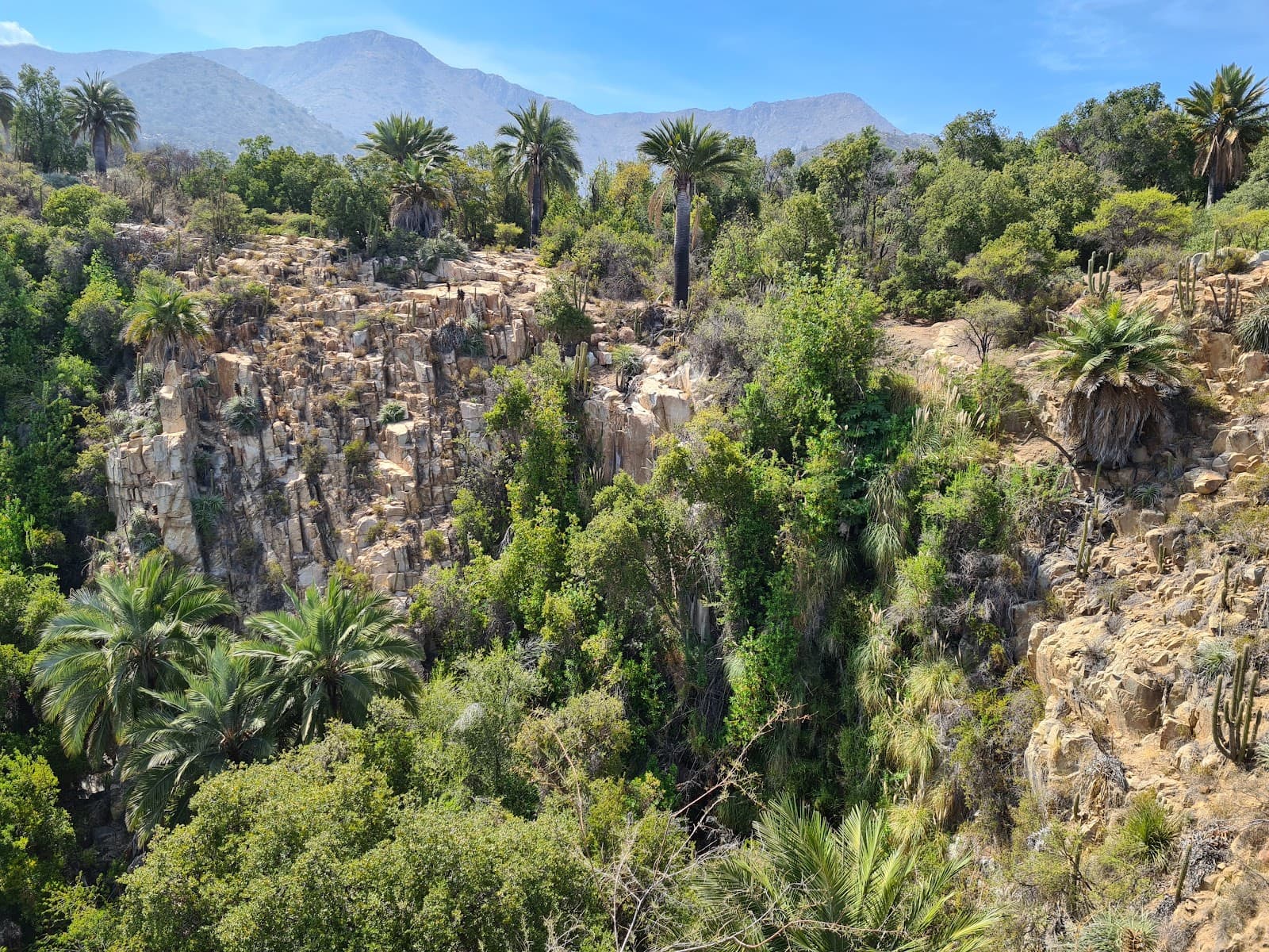 La Campana National Park - Image 1