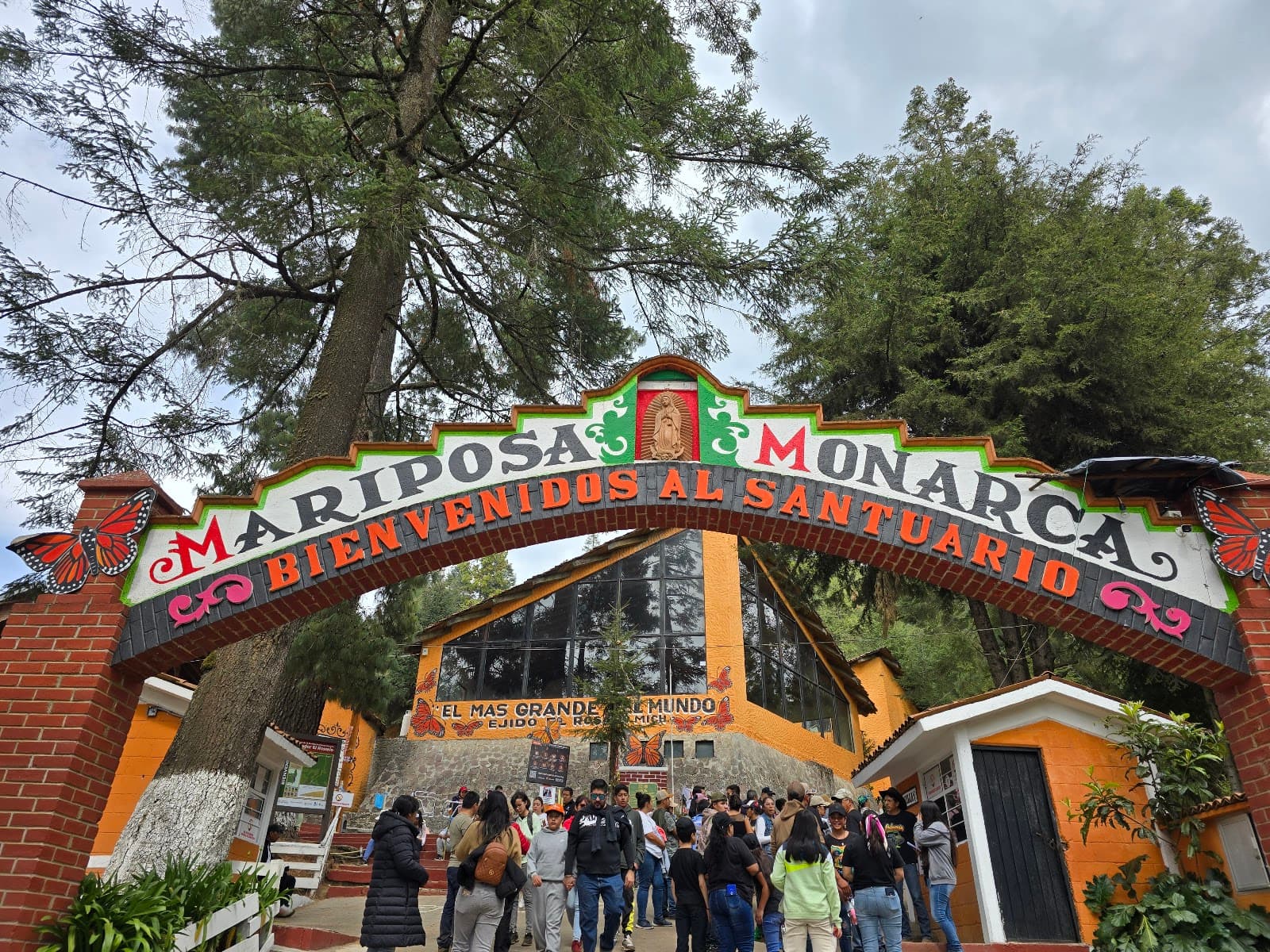 Monarch Butterfly Sanctuary El Rosario - Image 1