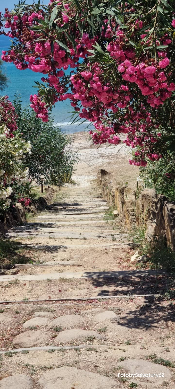 Tranquil Escape