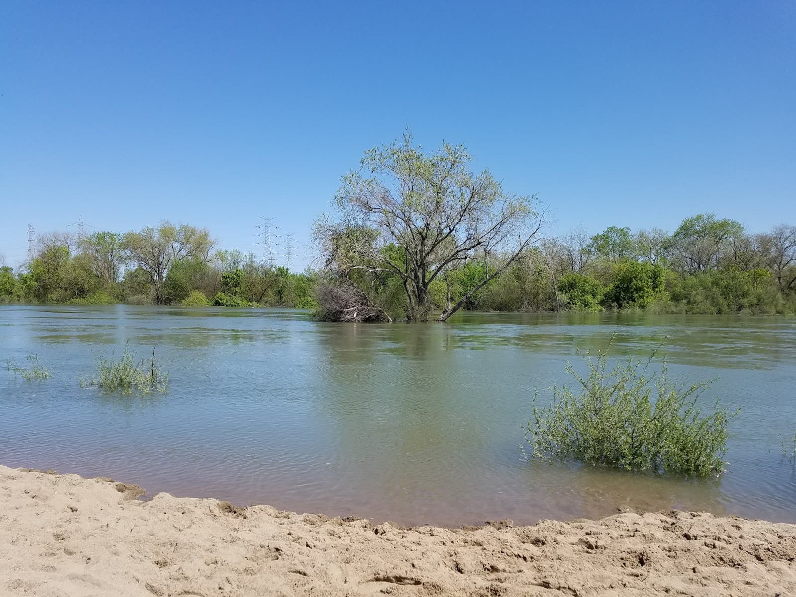 Paradise Beach American River - Image 1