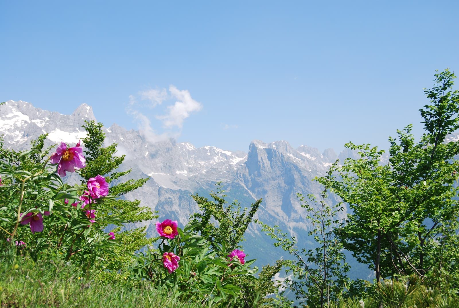 Theth National Park - Image 1