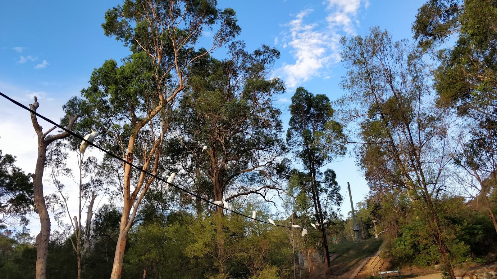 Fred Caterson Reserve - Image 1