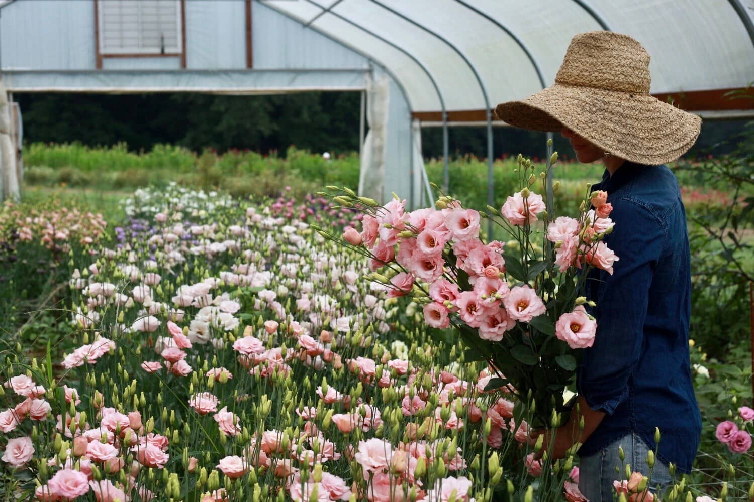 Seasonal Flower Blooms