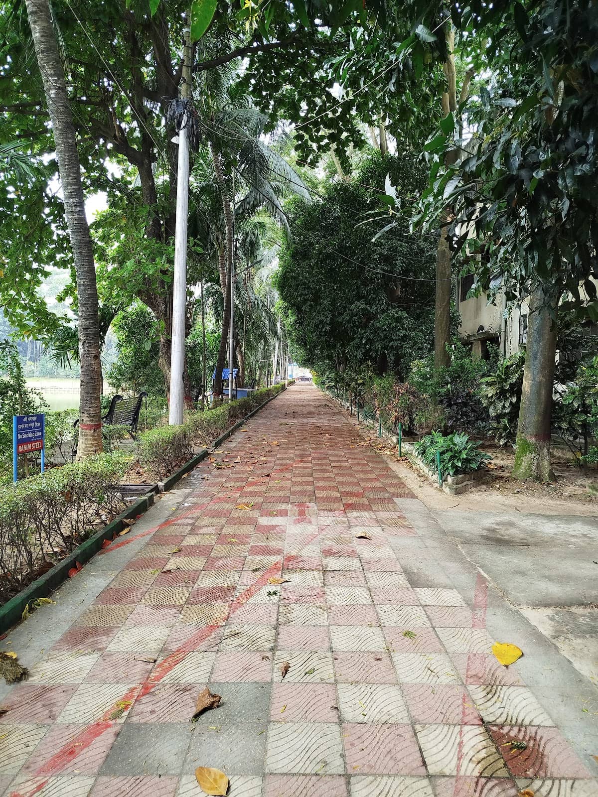 Vertical photo