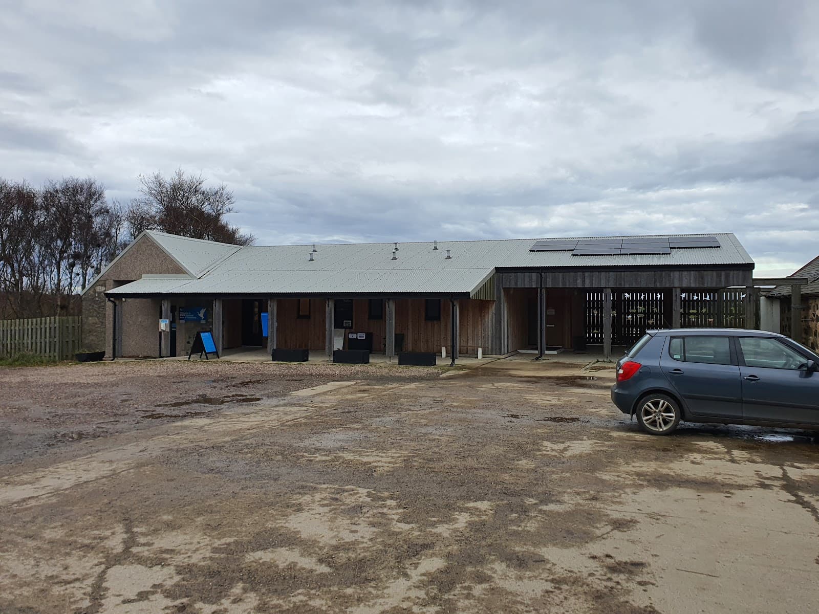 Loch of Strathbeg (RSPB) - Image 1