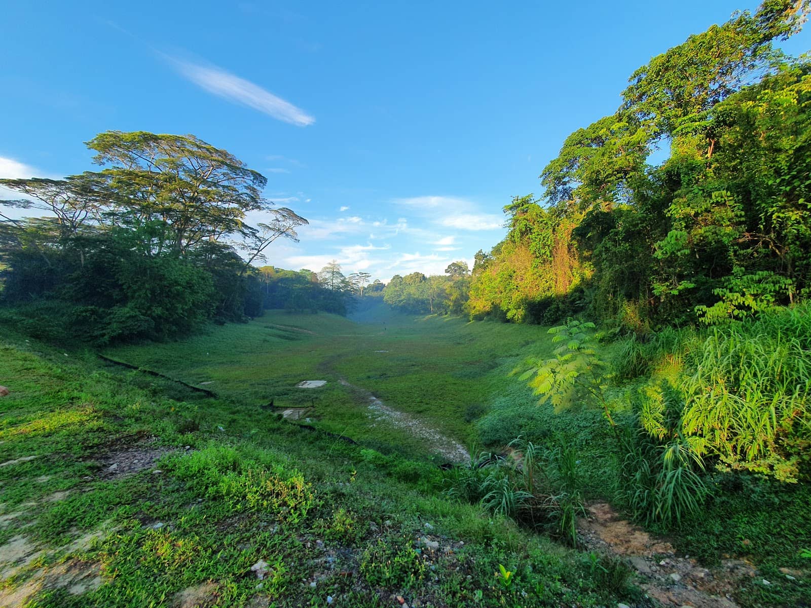 Steel Bridges and Tracks