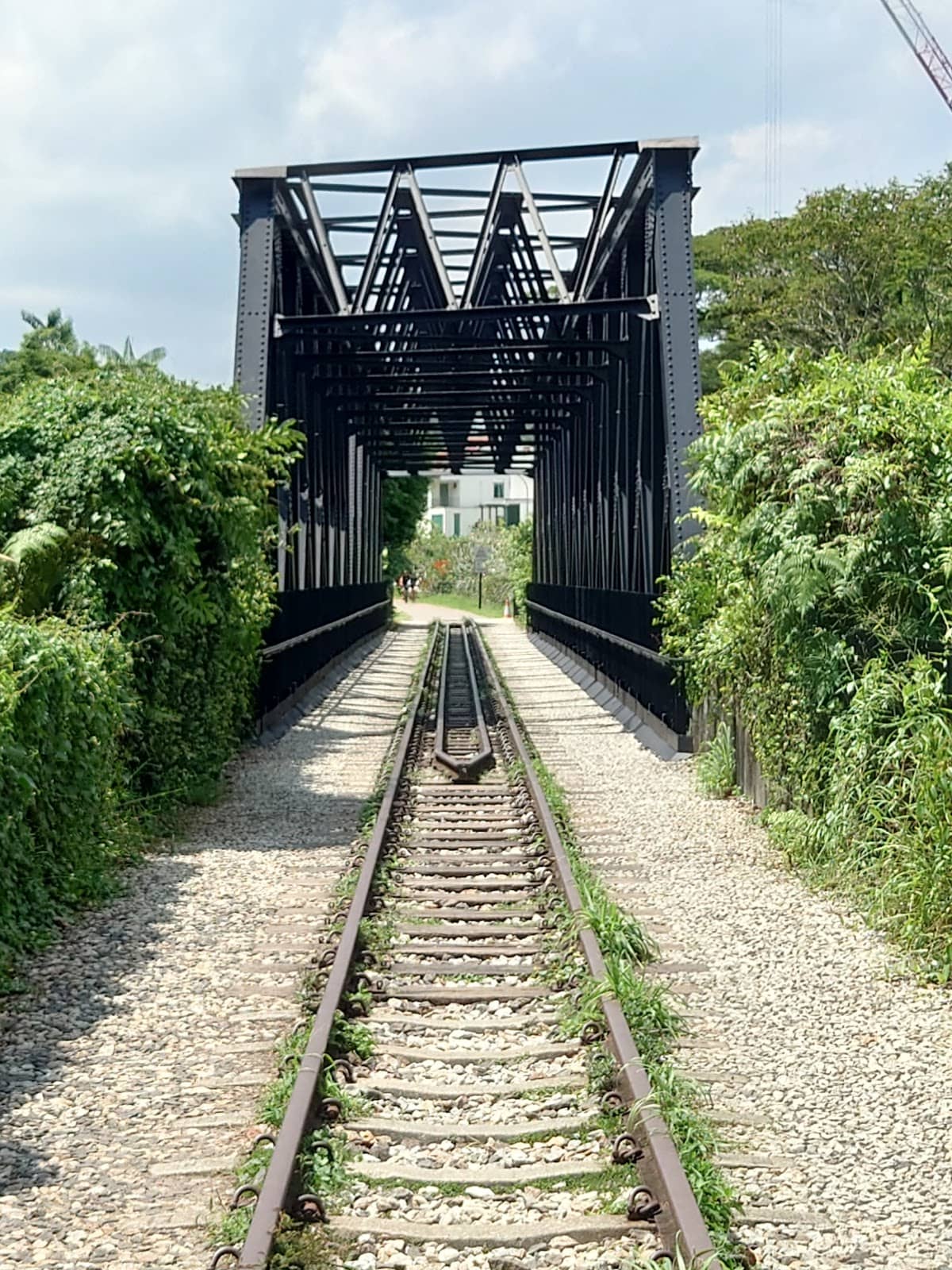 Vertical photo