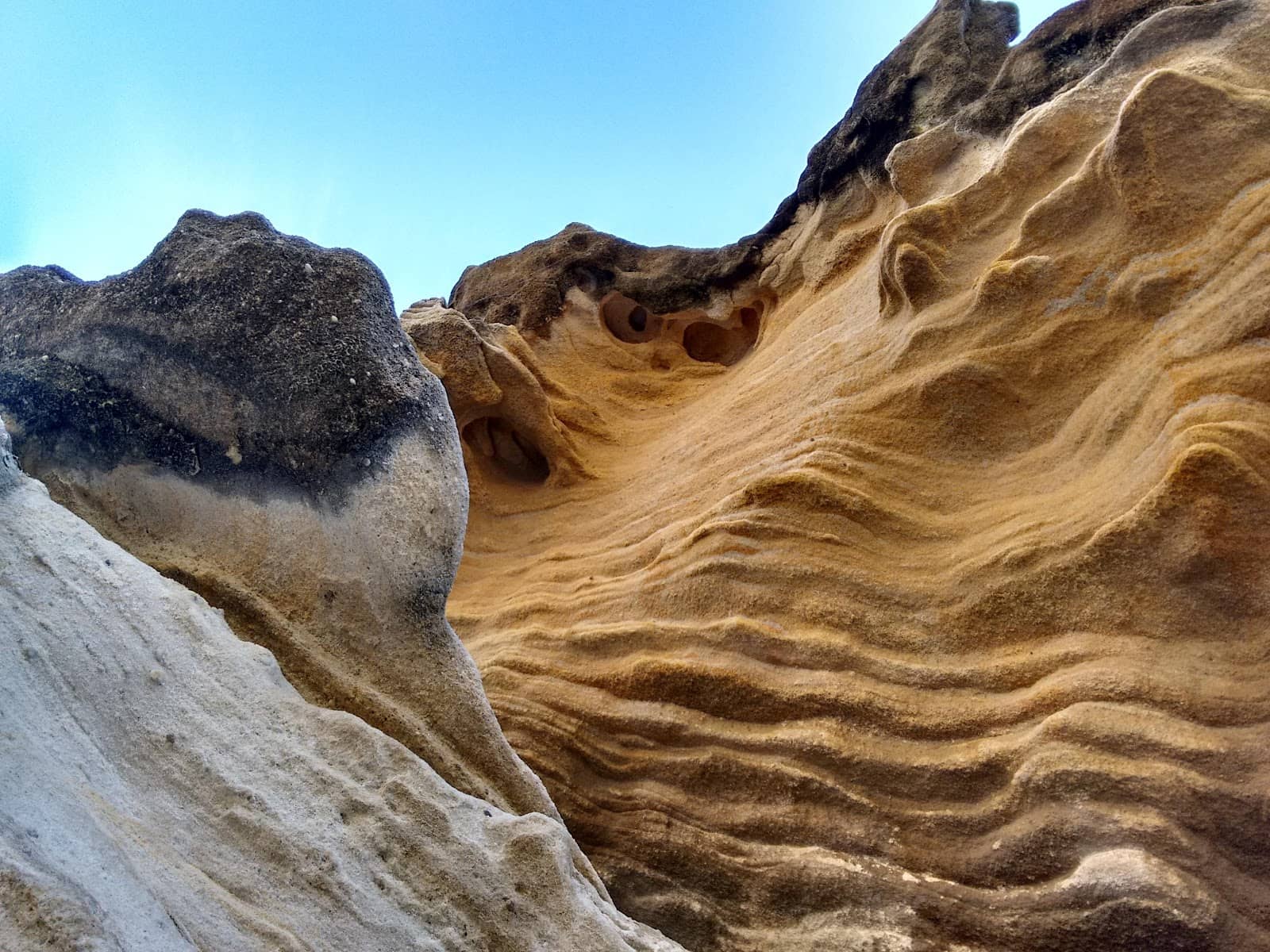 Vertical photo