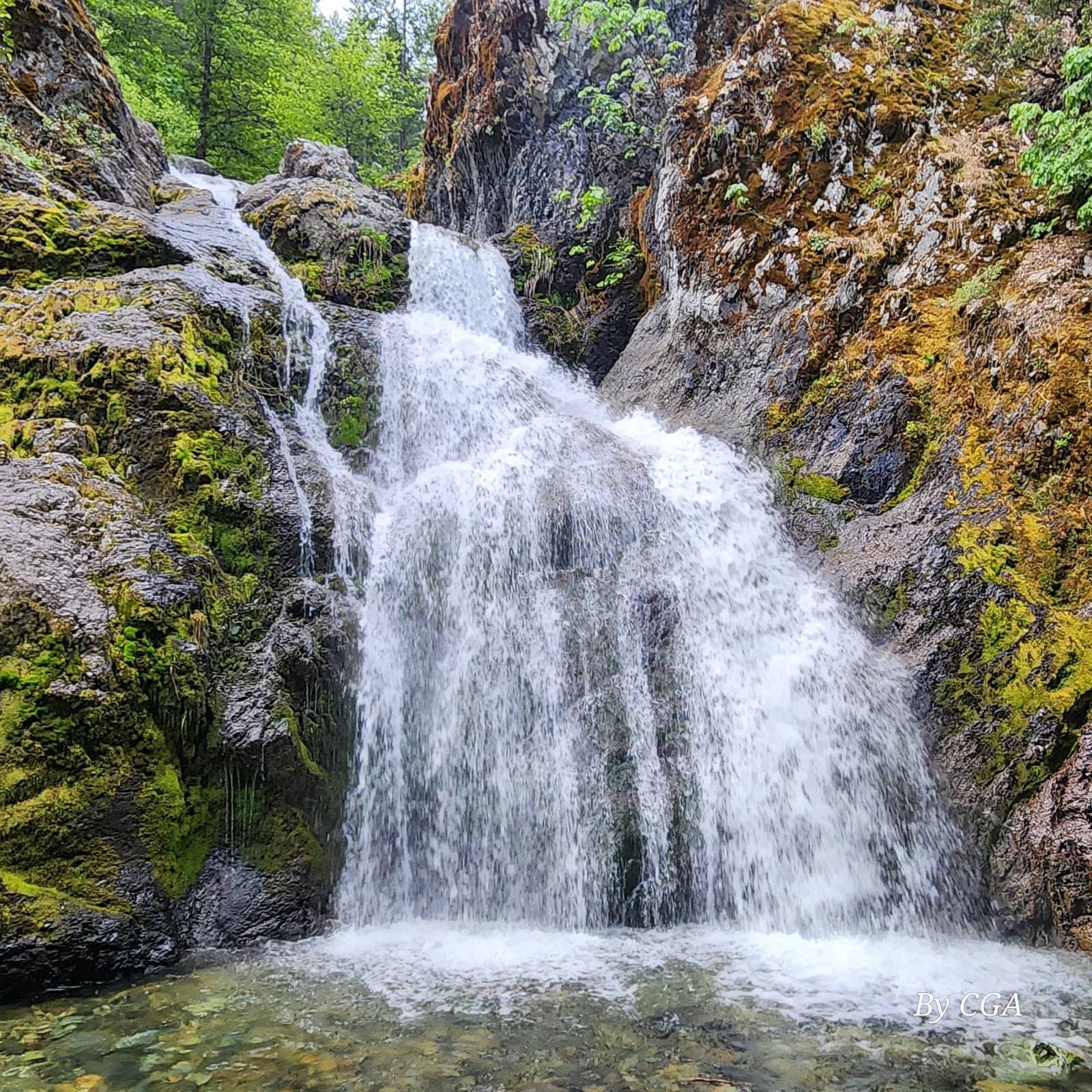 The Healing Spring