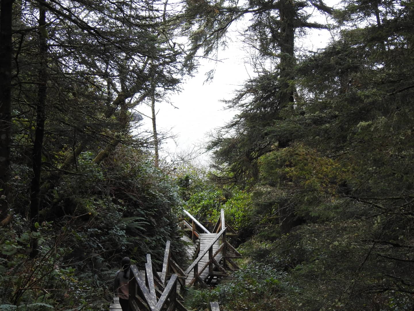 Vertical photo