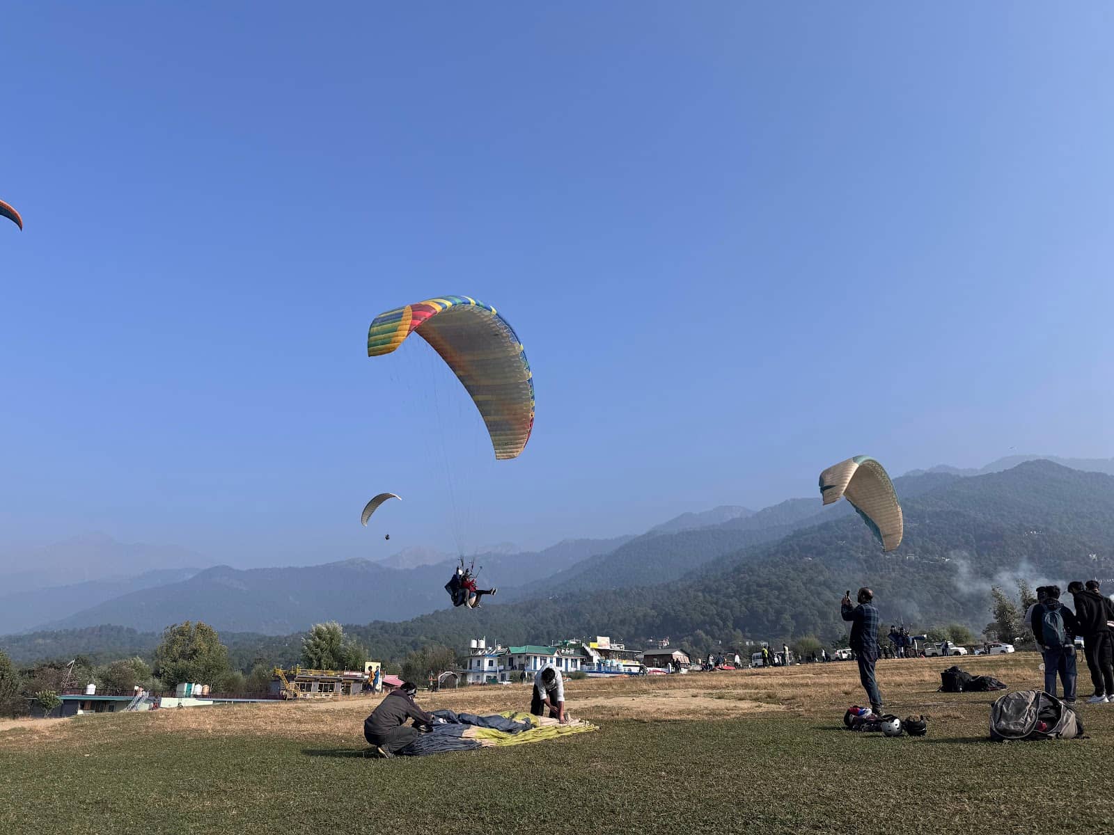 Vertical photo