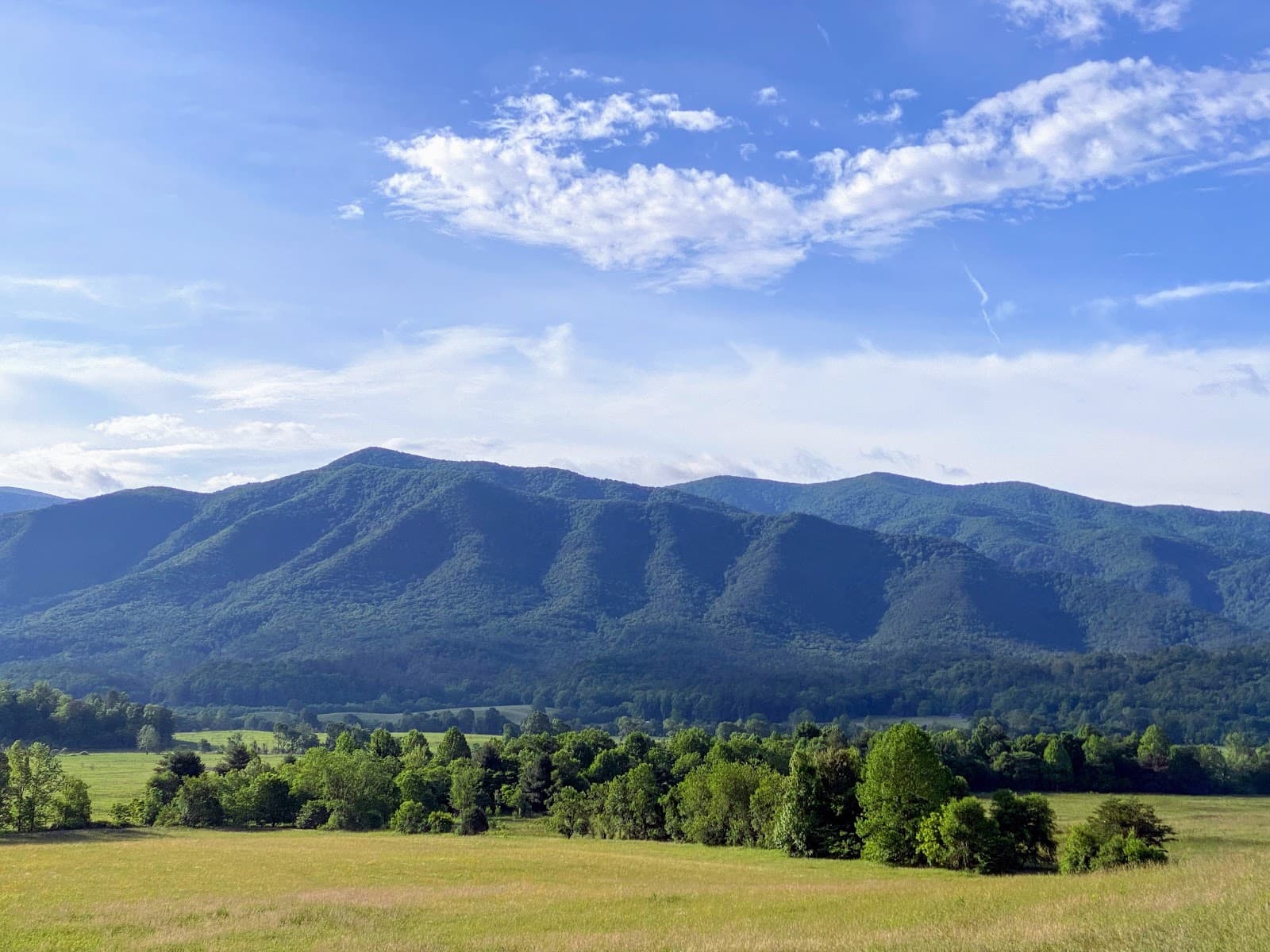 Cades Cove Loop Road - Image 1