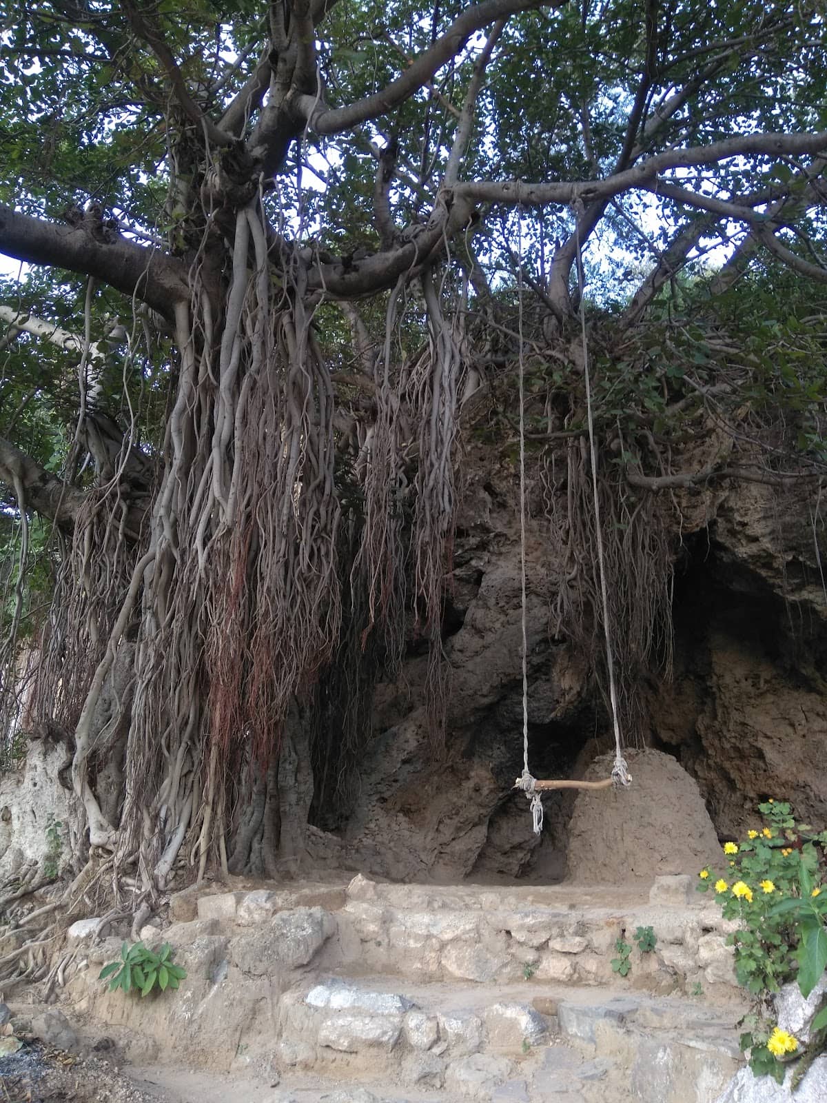 Vertical photo