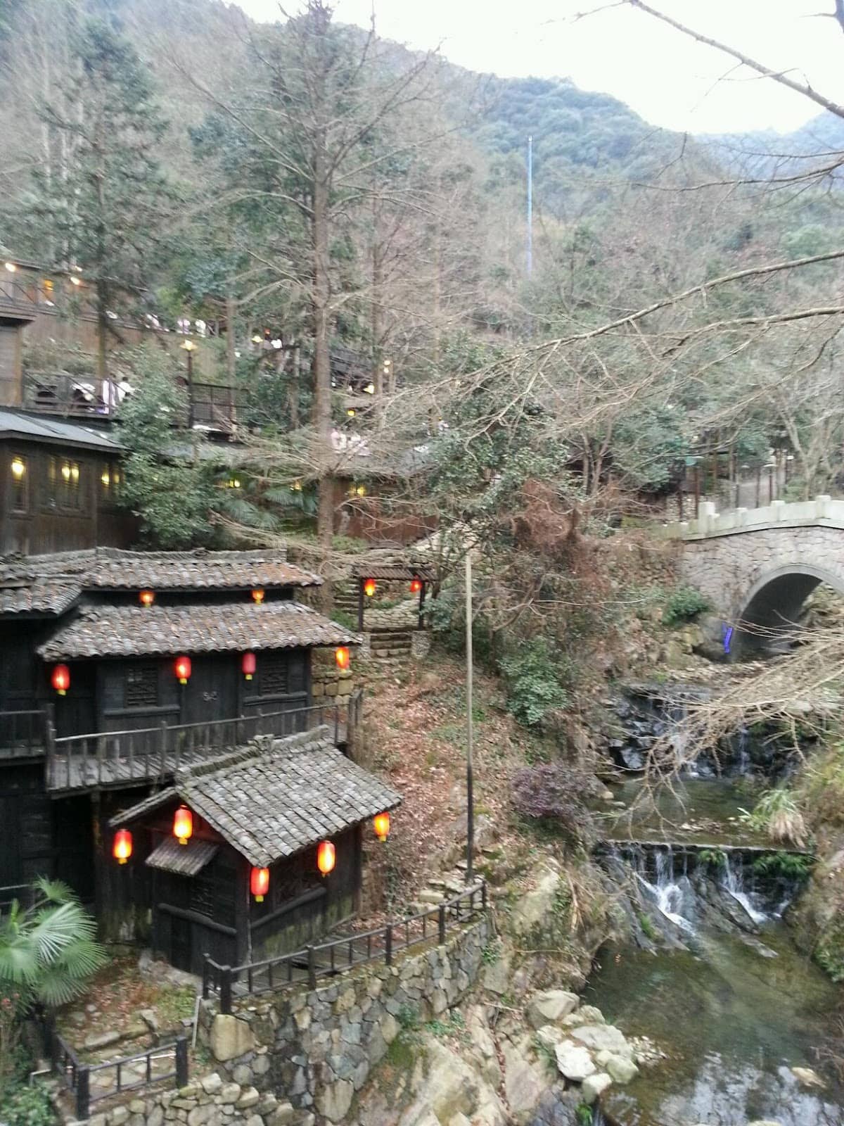 Scenic Forest Trails