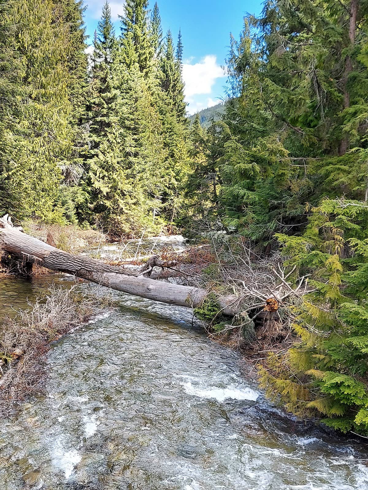 Scenic Trails