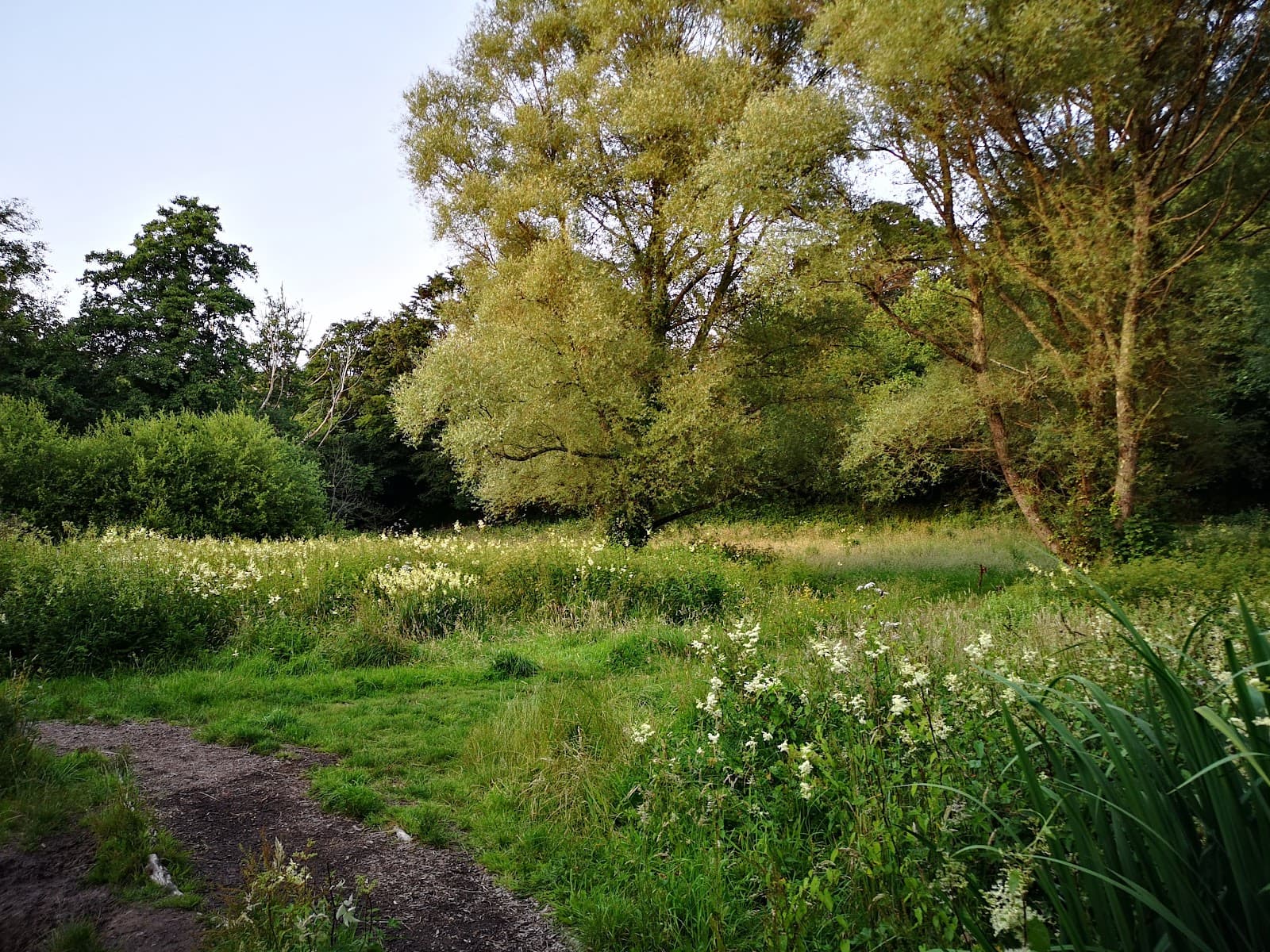 Daubuz Moors - Image 1