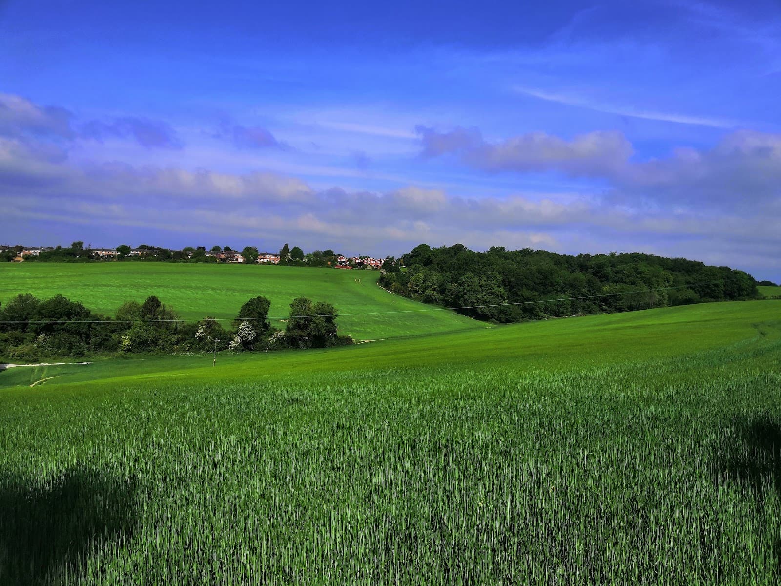 Gomm Valley and Ashwells Local Nature Reserve - Image 1