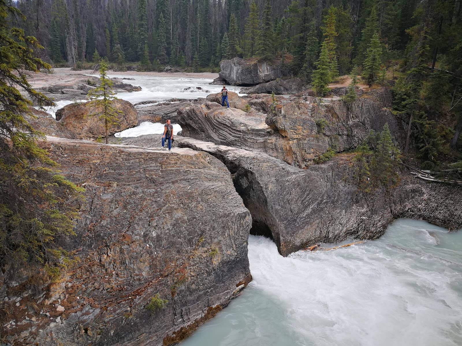 Scenic Riverbanks