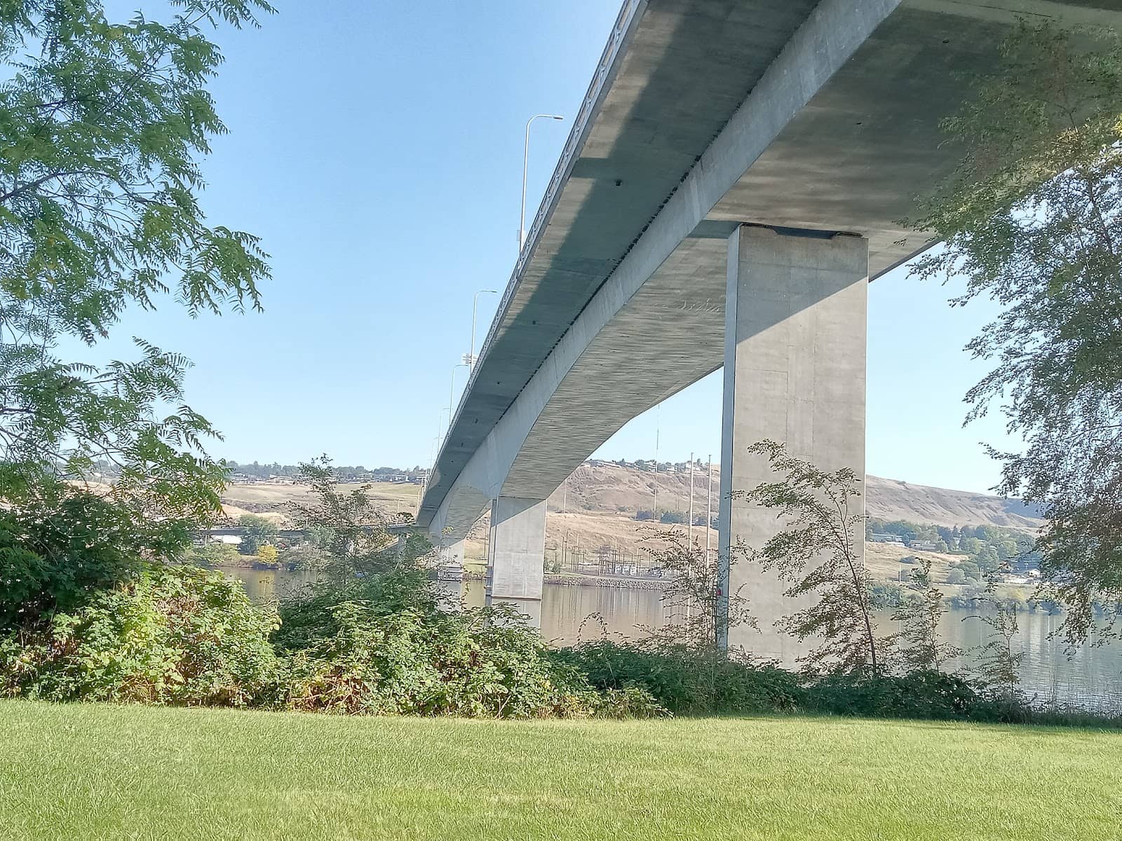 Vertical photo