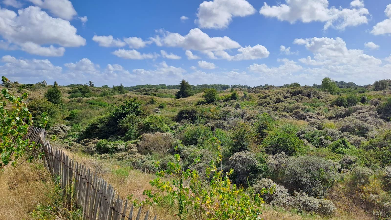 Mountain Bike Tracks