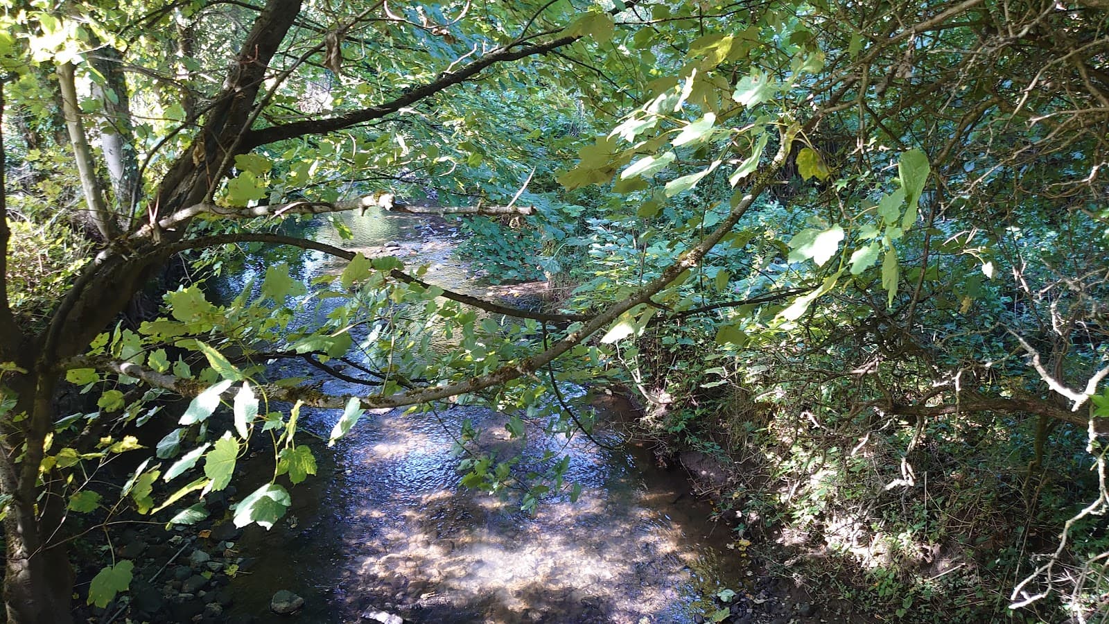 Shincliffe Village - Image 1