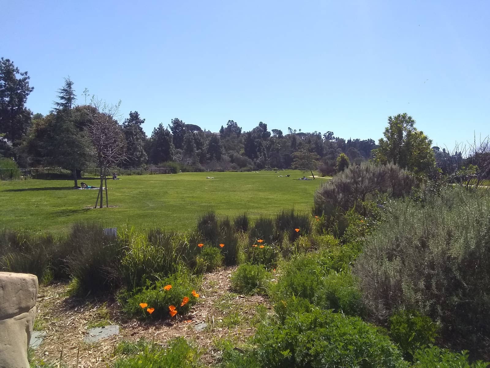 Native Plant Gardens