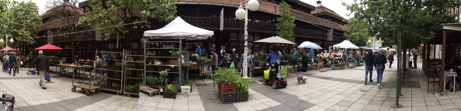 Eger Market Hall - Image 1