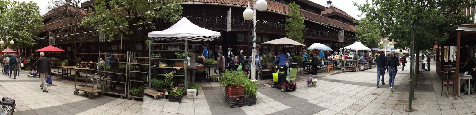 Authentic Market Atmosphere