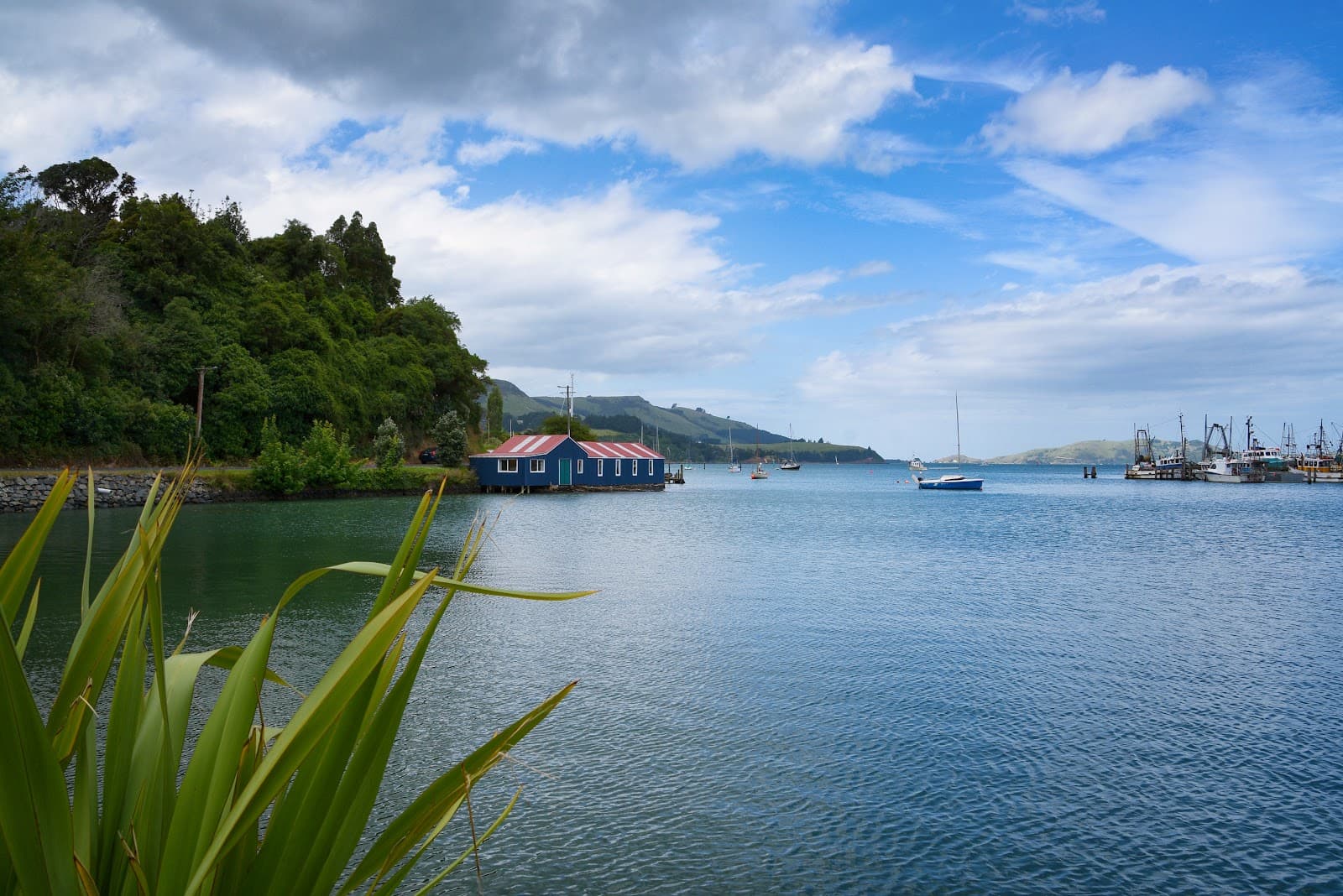 Careys Bay Wharf - Image 1