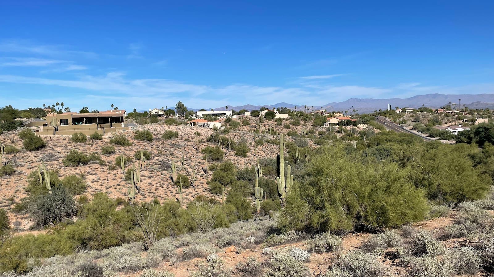 Fountain Hills Desert Botanical Garden - Image 1