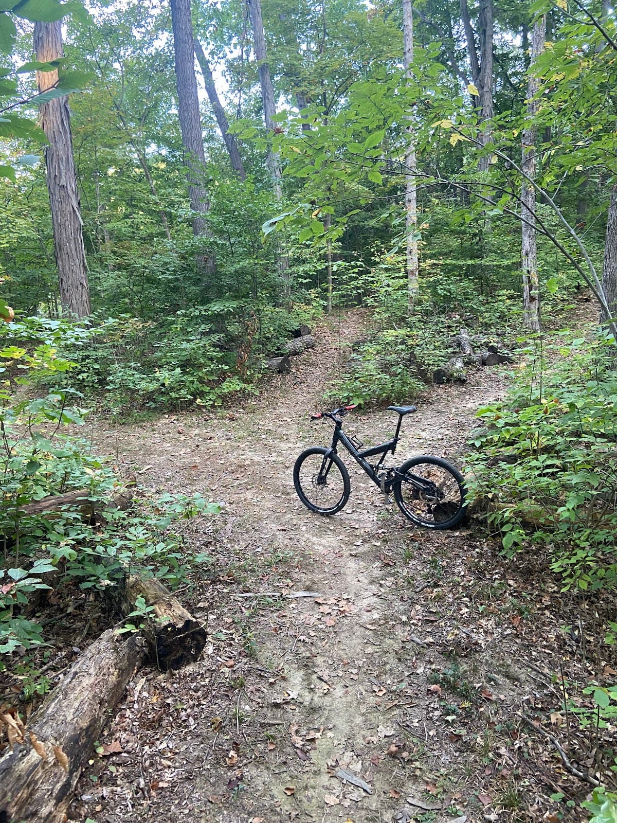Wapehani Mountain Bike Park - Image 1