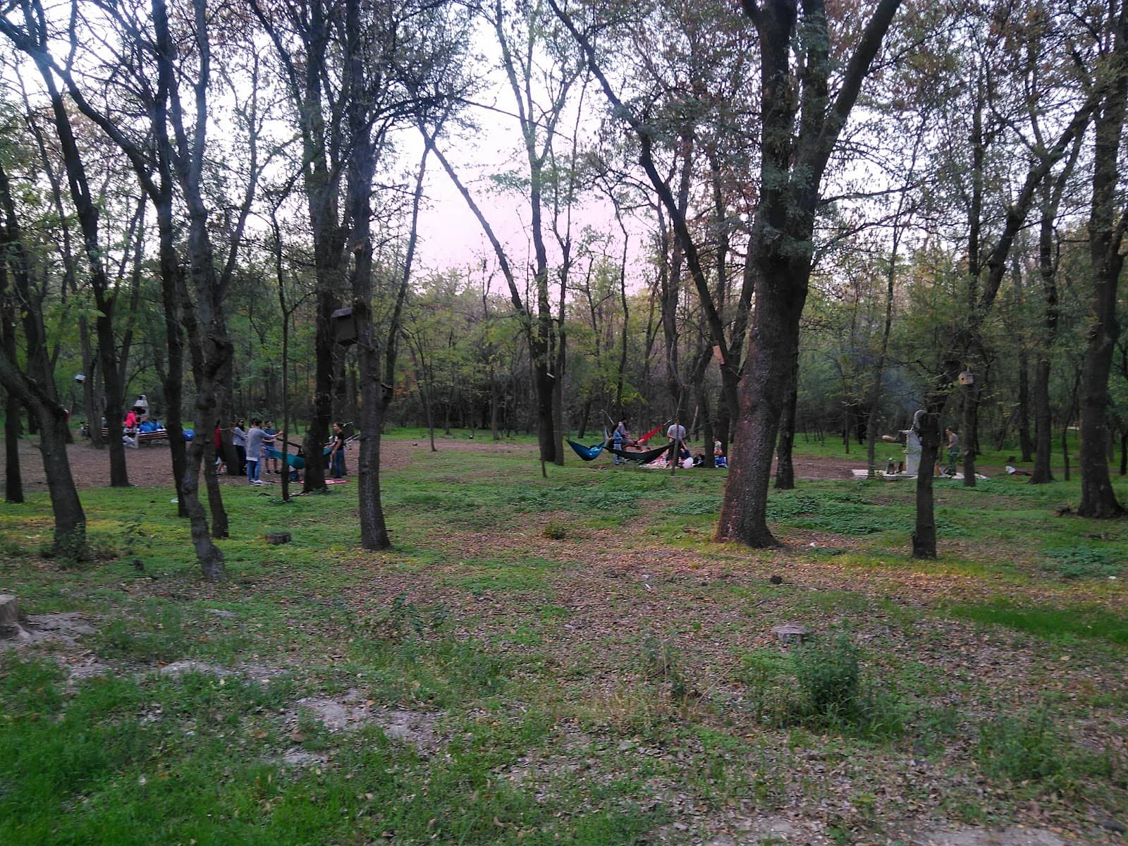 Outdoor Exercise Equipment