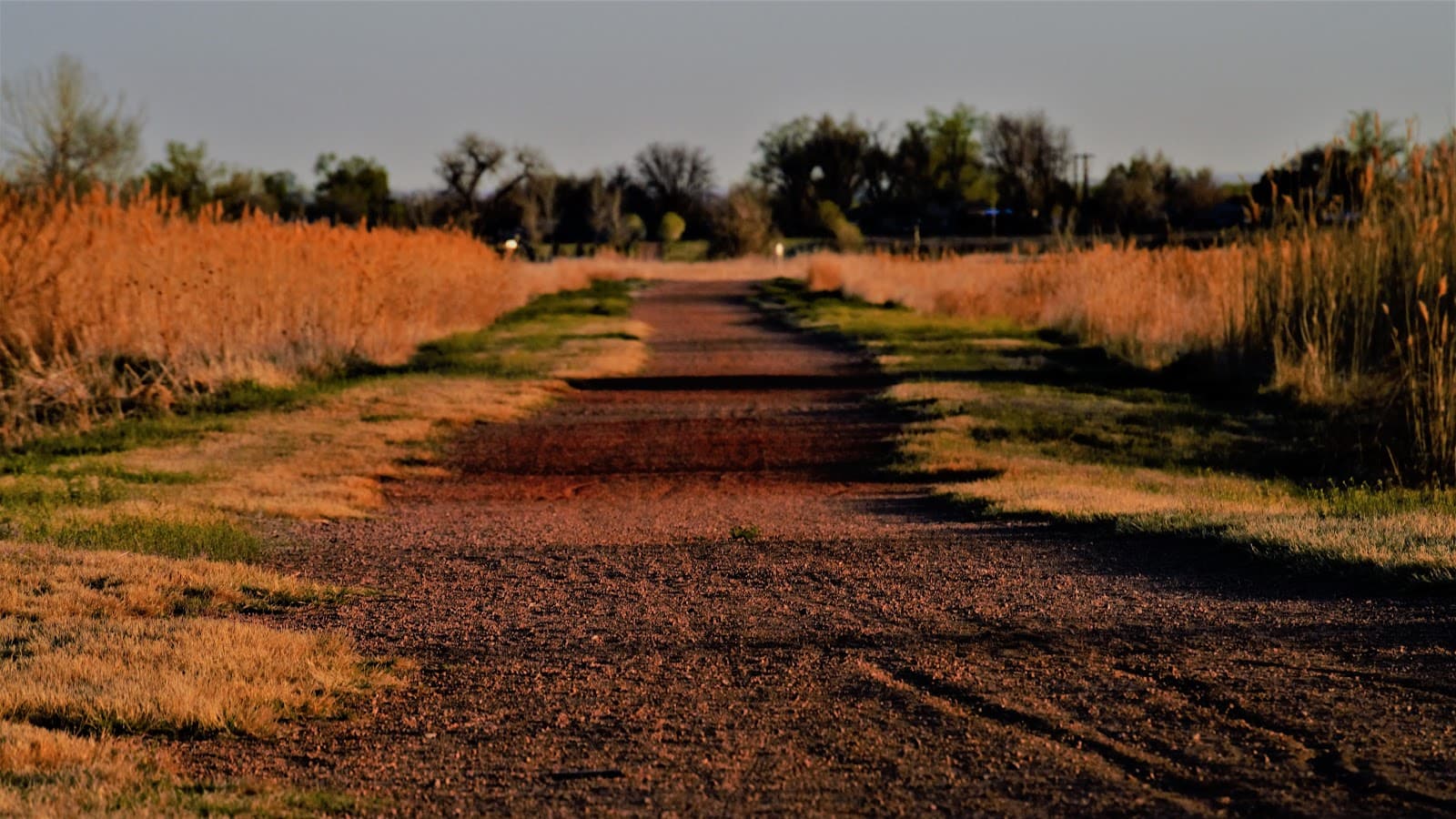 Lake Minnequa Open Space - Image 1