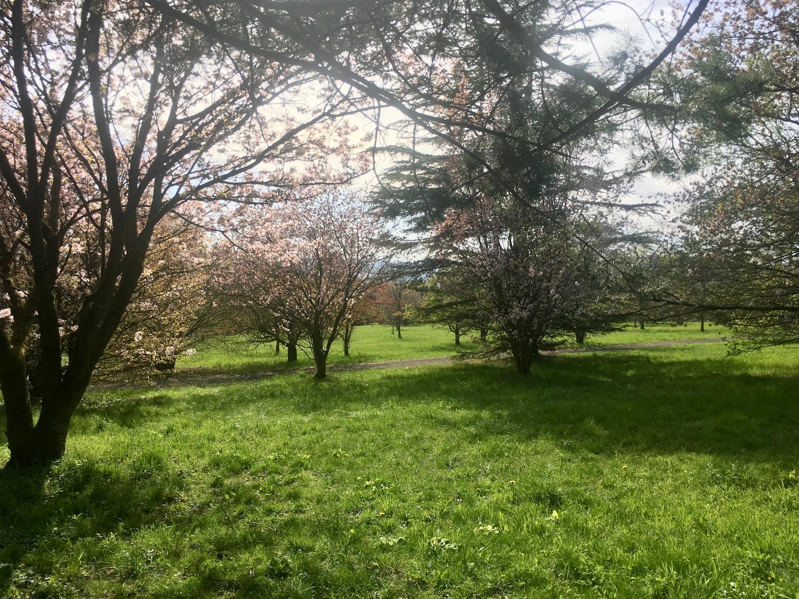 Forstbotanischer Garten und Arboretum - Image 1