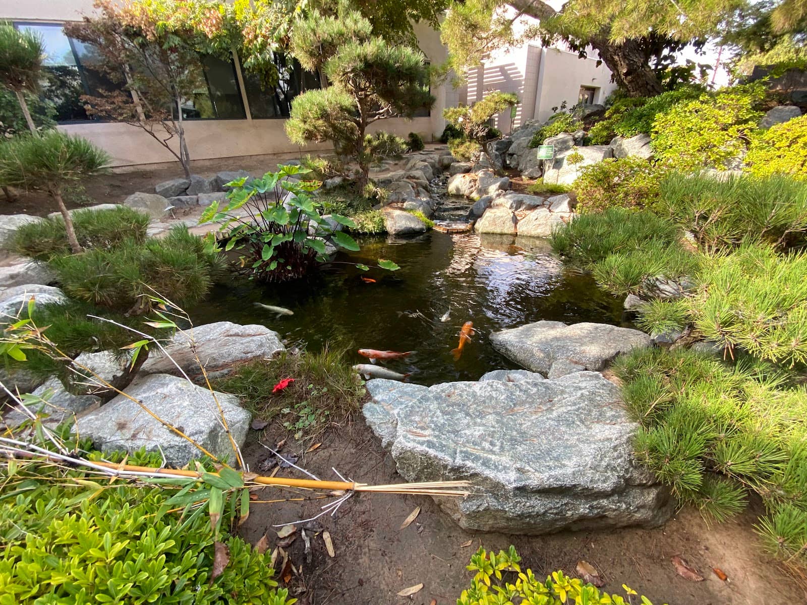 Tranquil Atmosphere