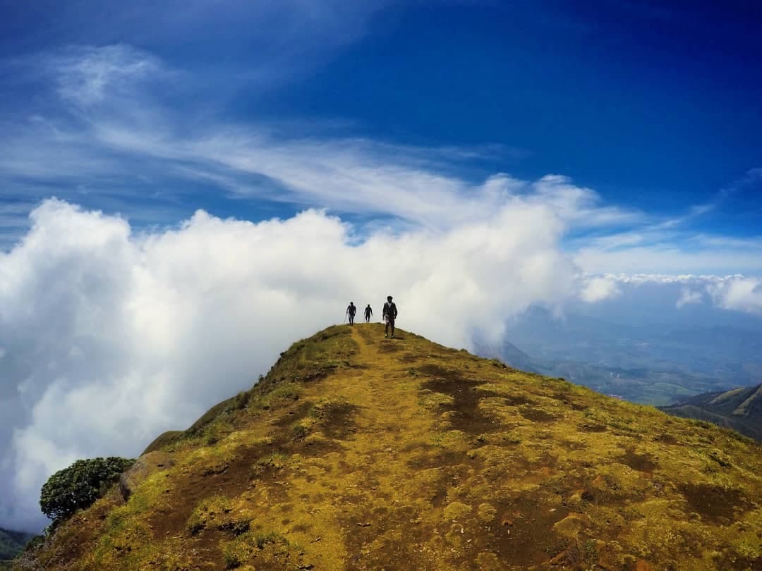 Meesapulimala Munnar - Image 1