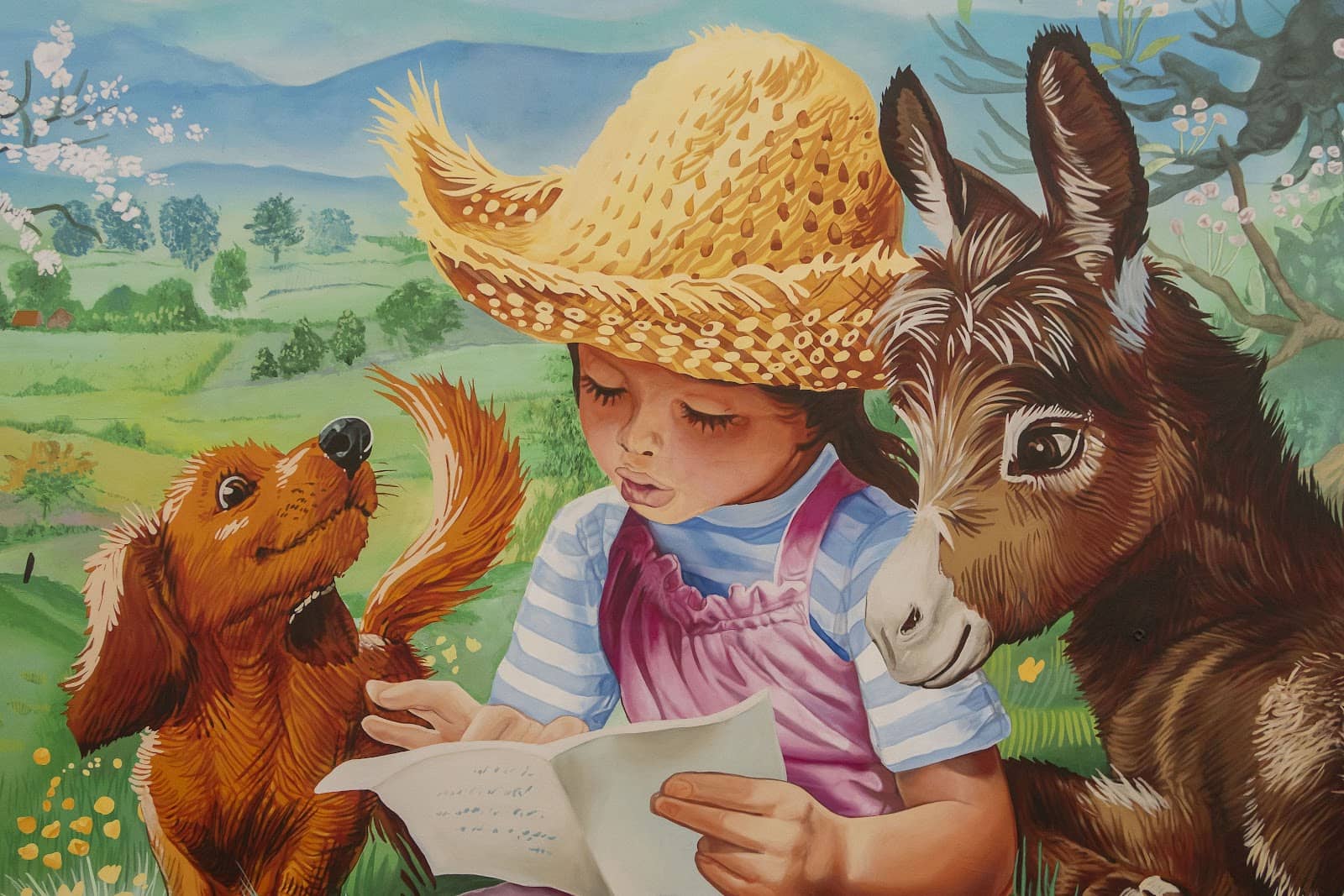 Local Artist Spotlights