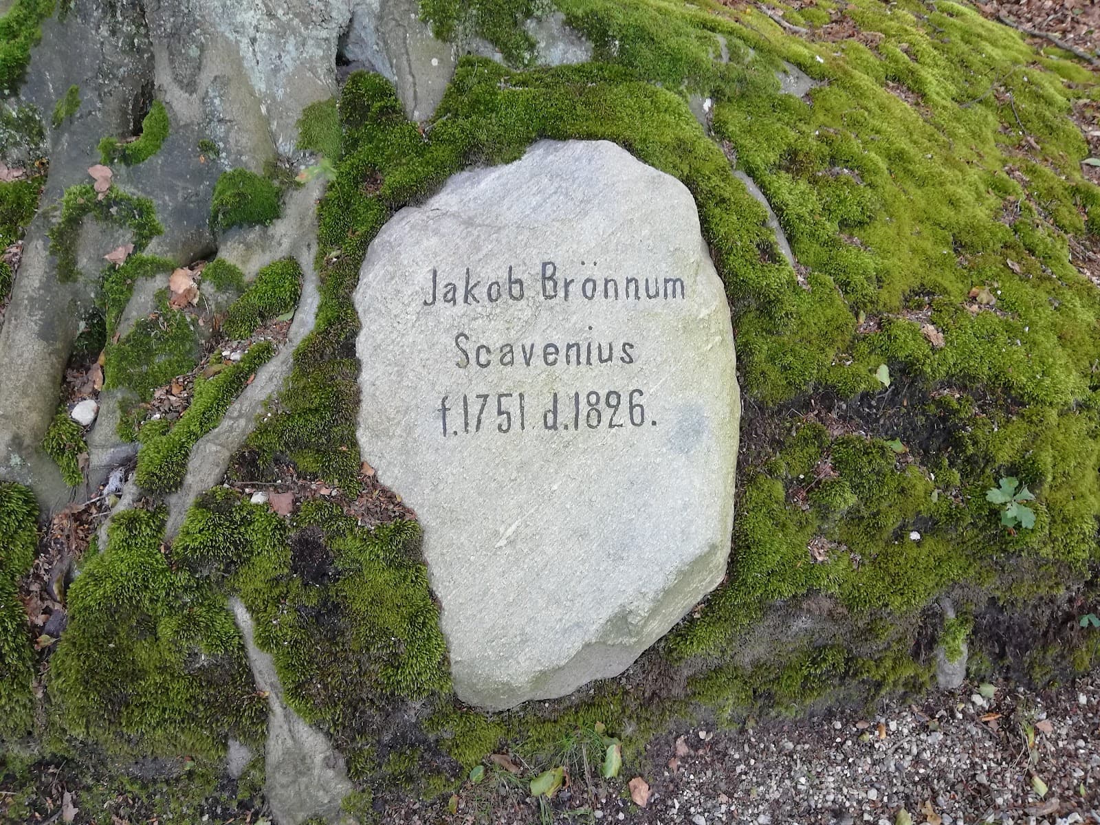 Sct. Knuds Kilde - Image 1